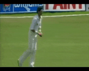 Cricket GIFs