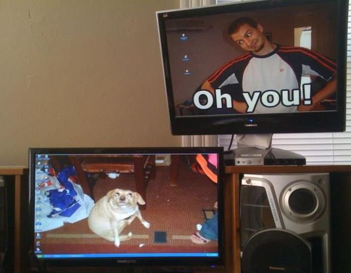 Funny Background