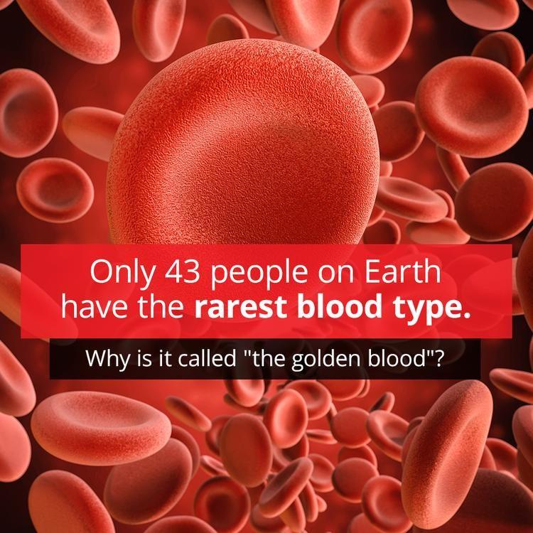 Rarest Blood Type On Earth How Unusual Your Blood Type Storytimes