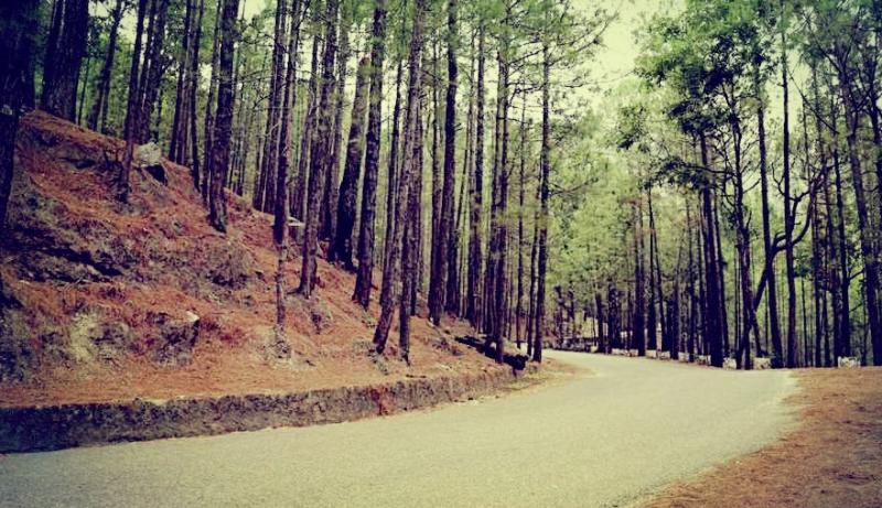 Haunted Places in Himachal Pradesh