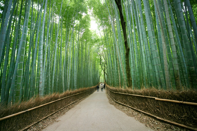 Most Heavenly Places in the World