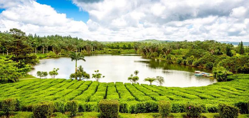 Best Historical Places In Mauritius