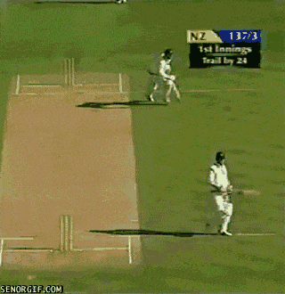 Cricket GIFs