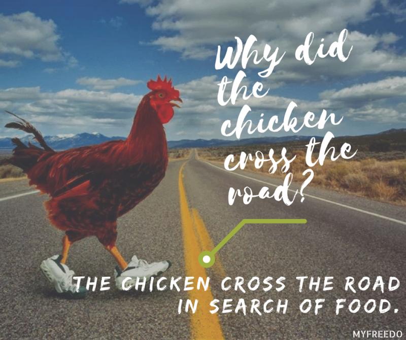 Why did the chicken cross the road