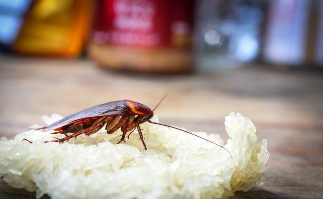 House blew up due to bug killer spray