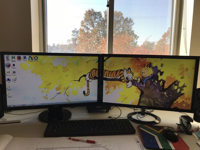 Funny Background