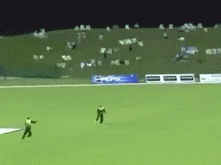 Cricket GIFs