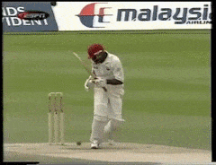 Cricket GIFs