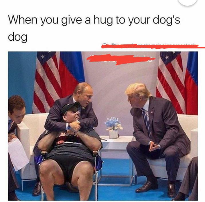 Putin Memes