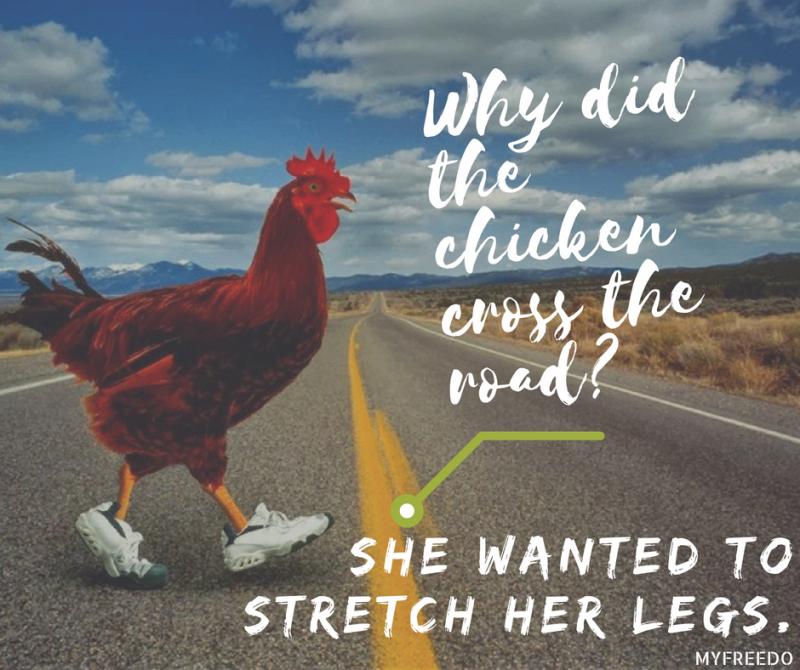 Why Did The Chicken Cross The Road Joke Is Actually Super Cool Storytimes