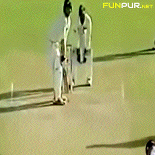 Cricket GIFs