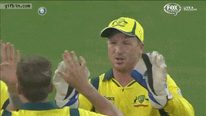 Cricket GIFs