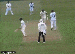 Cricket GIFs
