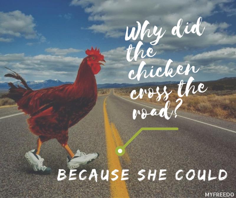 34 Why Did The Chicken Cross The Road Math Worksheet Worksheet Resource Plans