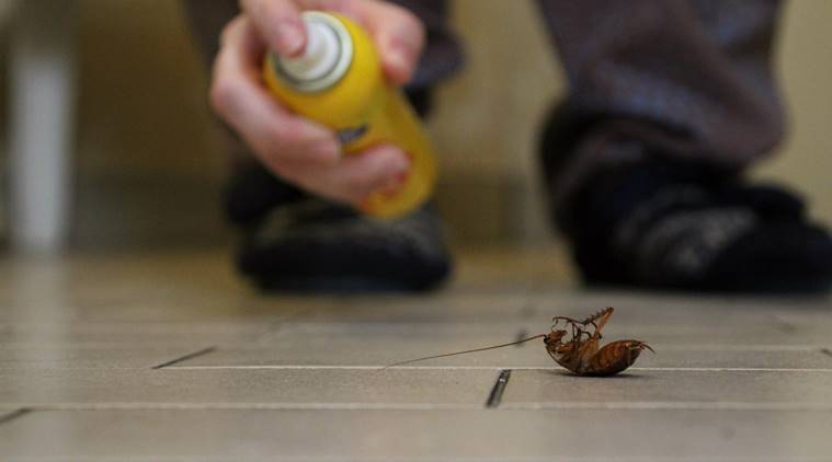 House blew up due to bug killer spray