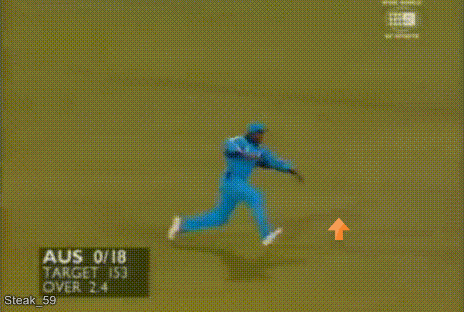 Cricket GIFs