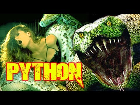 Python