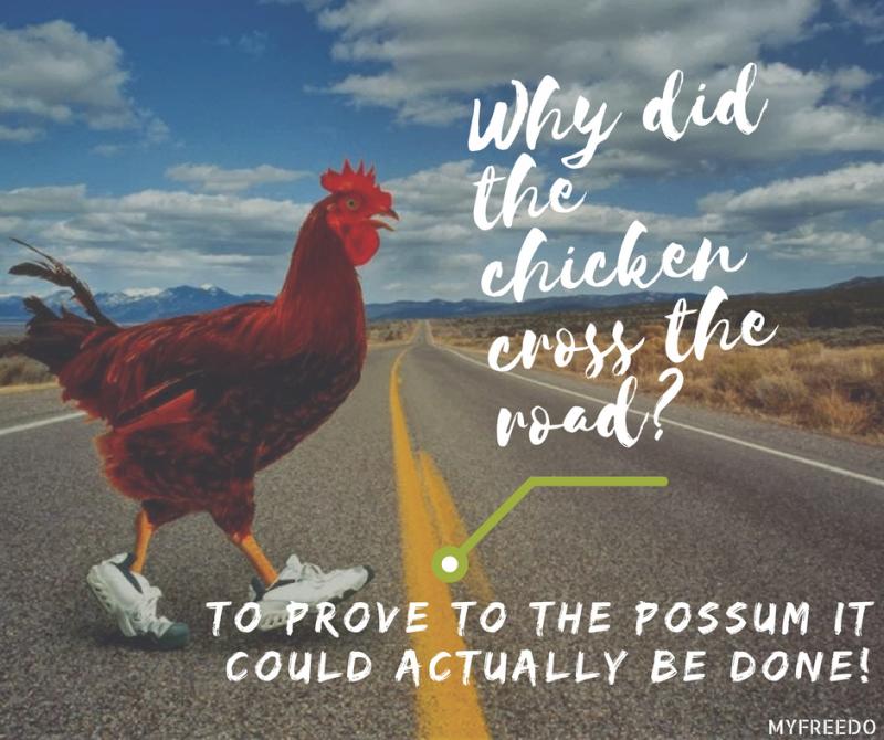 why-did-the-chicken-cross-the-road-joke-is-actually-super-cool-storytimes