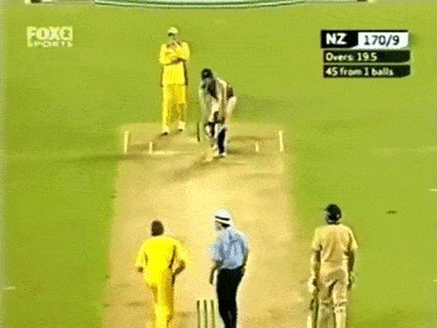Cricket GIFs